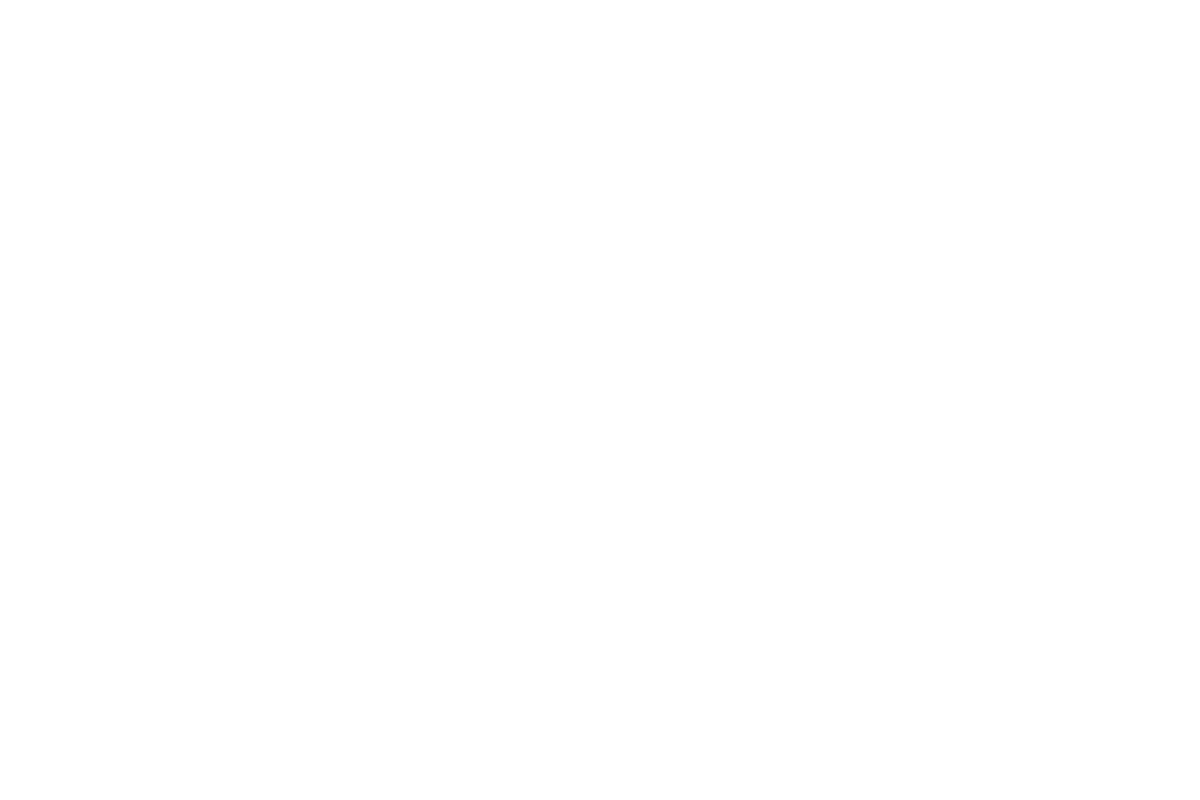 ENEL_icon