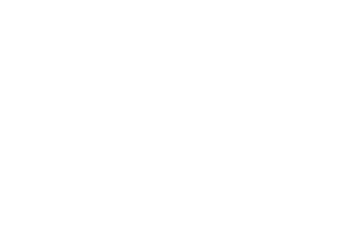 FR-VISION_icon