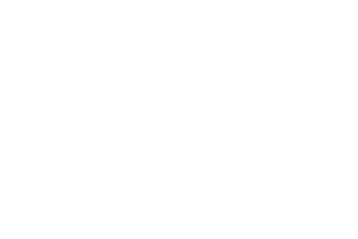 Dixie-mobile