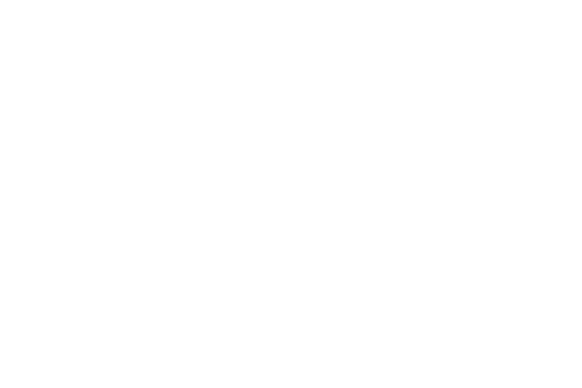 Sace-mobile